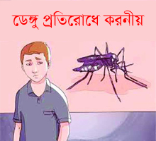 
            What to do to prevent Dengue        